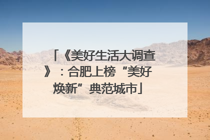 《美好生活大调查》：合肥上榜“美好焕新”典范城市