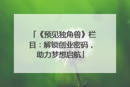 《预见独角兽》栏目：解锁创业密码，助力梦想启航
