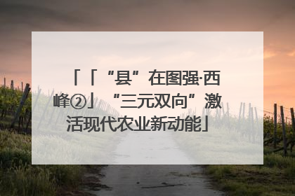 「“县”在图强·西峰②」“三元双向”激活现代农业新动能