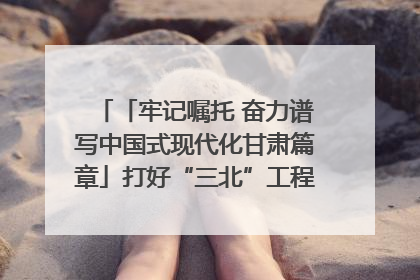 「牢记嘱托 奋力谱写中国式现代化甘肃篇章」打好“三北”工程攻坚战 筑牢国家西部生态安全屏障