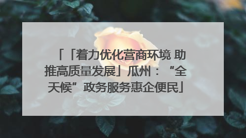 「着力优化营商环境 助推高质量发展」瓜州：“全天候”政务服务惠企便民