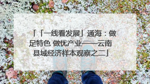 「一线看发展」通海：做足特色 做优产业——云南县域经济样本观察之二