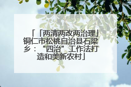 「两清两改两治理」铜仁市松桃自治县石梁乡：“四治”工作法打造和美新农村