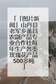 「图片新闻」山丹县老军乡蕃昌农副产品专业合作社每年生产各类玫瑰花产品500多吨