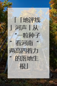 「地评线」河声丨从“一粒种子”看河南“两高四着力”的落地生根