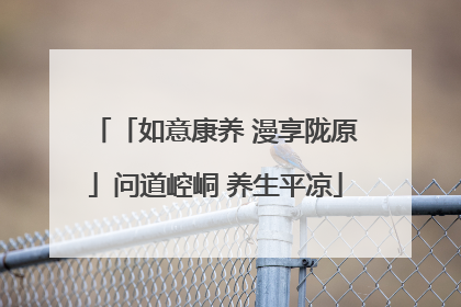 「如意康养 漫享陇原」问道崆峒 养生平凉