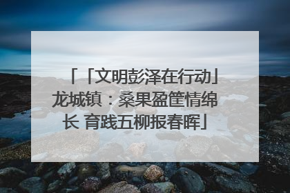 「文明彭泽在行动」龙城镇：桑果盈筐情绵长 育践五柳报春晖
