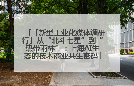 「新型工业化媒体调研行」从“北斗七星”到“热带雨林”：上海AI生态的技术商业共生密码