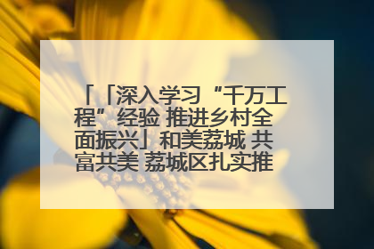「深入学习“千万工程”经验 推进乡村全面振兴」和美荔城 共富共美 荔城区扎实推进乡村振兴工作