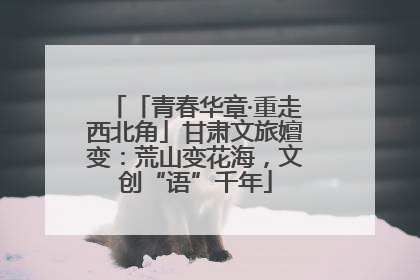 「青春华章·重走西北角」甘肃文旅嬗变：荒山变花海，文创“语”千年