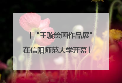 “王璇绘画作品展”在信阳师范大学开幕