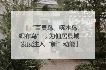 “百灵鸟、啄木鸟、织布鸟”，为仙居县域发展注入“新”动能