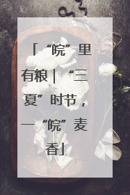 “皖”里有粮｜“三夏”时节，一“皖”麦香