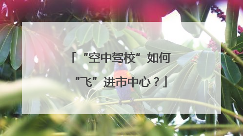 “空中驾校”如何“飞”进市中心？