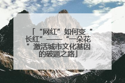 “网红”如何变“长红”——“一朵花”激活城市文化基因的破题之路