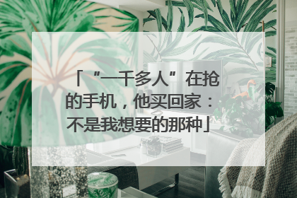 “一千多人”在抢的手机，他买回家：不是我想要的那种