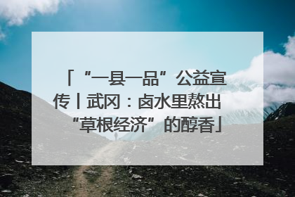 “一县一品”公益宣传丨武冈：卤水里熬出“草根经济”的醇香