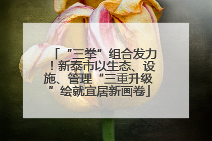 “三拳”组合发力！新泰市以生态、设施、管理“三重升级”绘就宜居新画卷