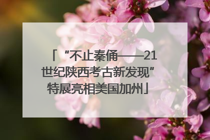 “不止秦俑——21世纪陕西考古新发现”特展亮相美国加州
