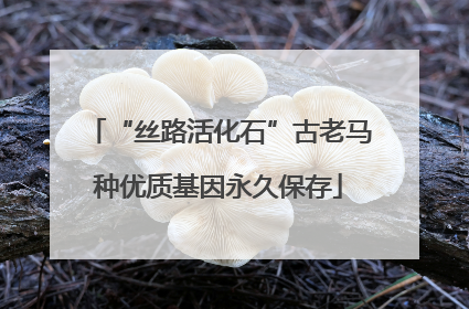 “丝路活化石”古老马种优质基因永久保存