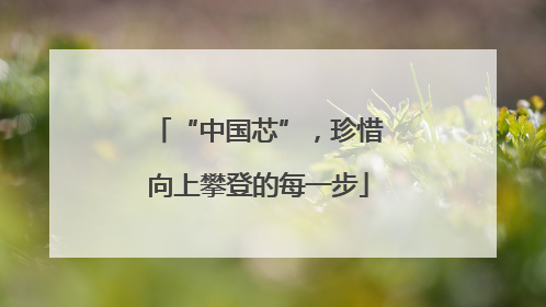 “中国芯”，珍惜向上攀登的每一步