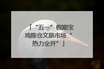 “五一”假期宝鸡陈仓文旅市场“热力全开”