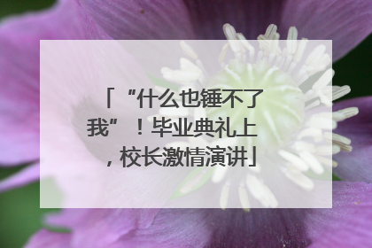 “什么也锤不了我”！毕业典礼上，校长激情演讲