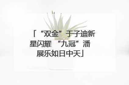 “双金”于子迪新星闪耀 “九冠”潘展乐如日中天