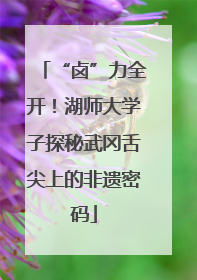 “卤”力全开！湖师大学子探秘武冈舌尖上的非遗密码
