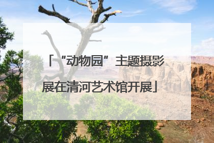 “动物园”主题摄影展在清河艺术馆开展