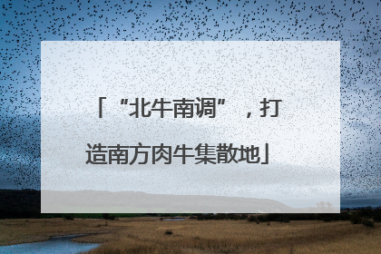 “北牛南调”，打造南方肉牛集散地