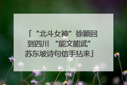 “北斗女神”徐颖回到四川 “能文能武”苏东坡诗句信手拈来