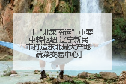 “北菜南运”重要中转枢纽 辽宁新民市打造东北最大产地蔬菜交易中心