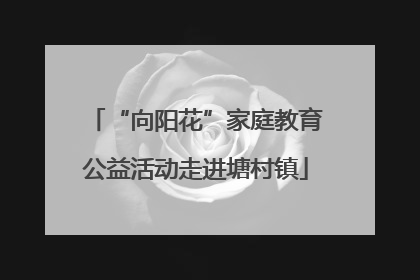 “向阳花”家庭教育公益活动走进塘村镇