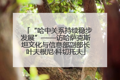 “哈中关系持续稳步发展”——访哈萨克斯坦文化与信息部副部长叶夫根尼·科切托夫