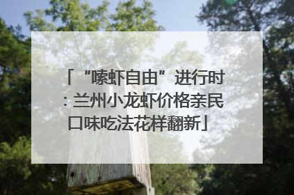 “嗦虾自由”进行时：兰州小龙虾价格亲民口味吃法花样翻新