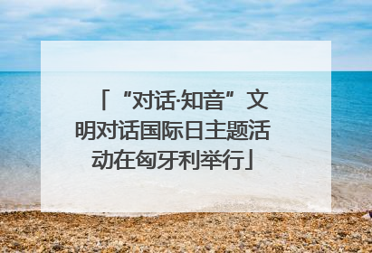 “对话·知音”文明对话国际日主题活动在匈牙利举行