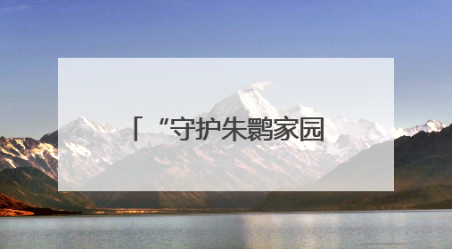 “守护朱鹮家园”（侨乡新貌）