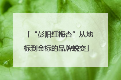 “彭阳红梅杏”从地标到金标的品牌蜕变