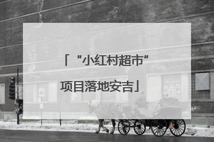 “小红村超市”项目落地安吉