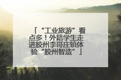 “工业旅游”看点多！外籍学生走进胶州李哥庄镇体验“胶州智造”
