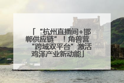 “杭州直播间+邯郸供应链”！角兽营“跨域双平台”激活鸡泽产业新动能