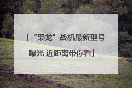 “枭龙”战机最新型号曝光 近距离带你看