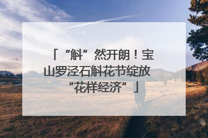 “斛”然开朗！宝山罗泾石斛花节绽放“花样经济”