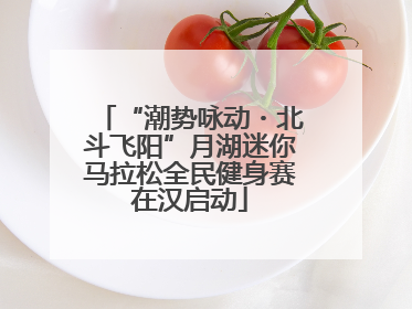 “潮势咏动・北斗飞阳”月湖迷你马拉松全民健身赛在汉启动