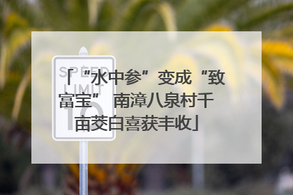 “水中参”变成“致富宝” 南漳八泉村千亩茭白喜获丰收