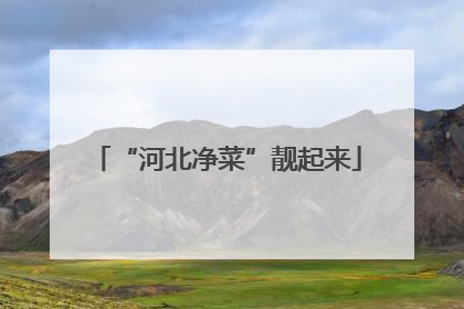 “河北净菜”靓起来