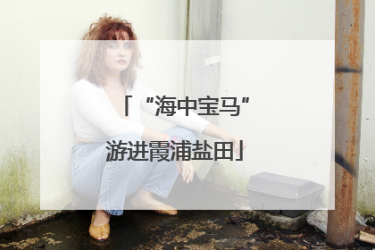 “海中宝马”游进霞浦盐田