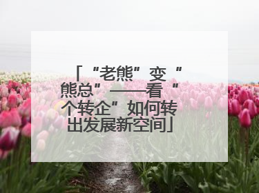 “老熊”变“熊总”——看“个转企”如何转出发展新空间