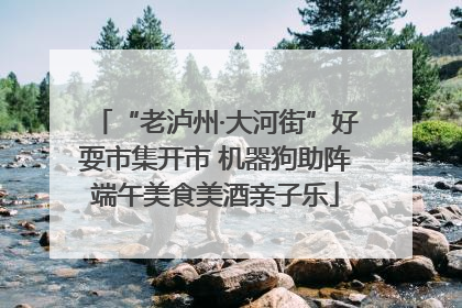 “老泸州·大河街”好耍市集开市 机器狗助阵端午美食美酒亲子乐